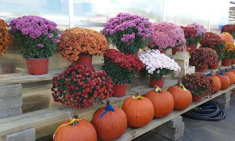 Lansing Gardens Inc Lansing Gardens Inc